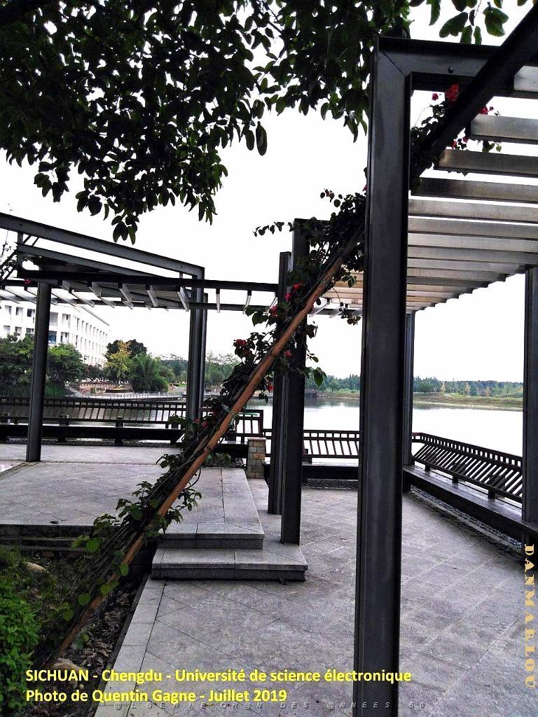 Chengdu- Universite Science electronique 081.jpg